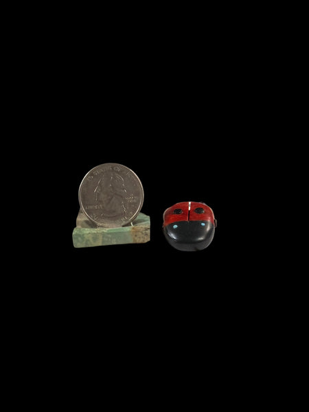 Ladybug Fetish-Carving