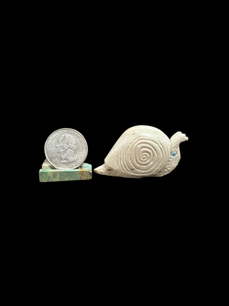 Fish Rock Snail Fetish-Carving