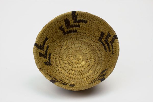 Tohono O'Odham Tribe Small Coiled Vessel Basket - Turquoise Village - 1